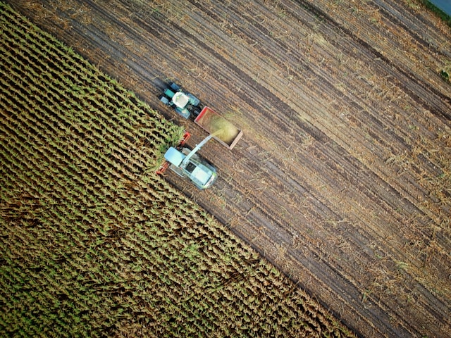 Innovative Agricultural Construction: Greenhouses, Machinery Storage, and Equestrian Facilities
